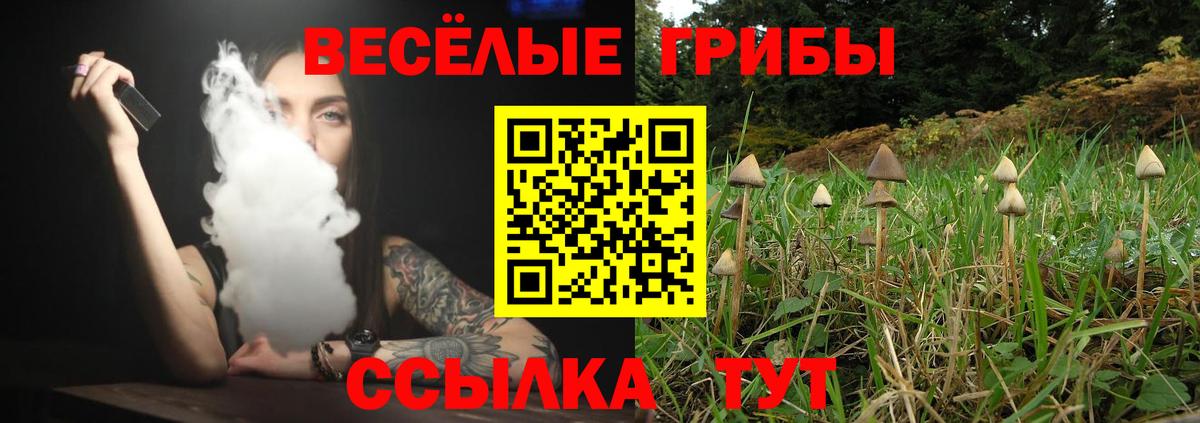 Галлюциногенные грибы Magic Shrooms Благовещенск